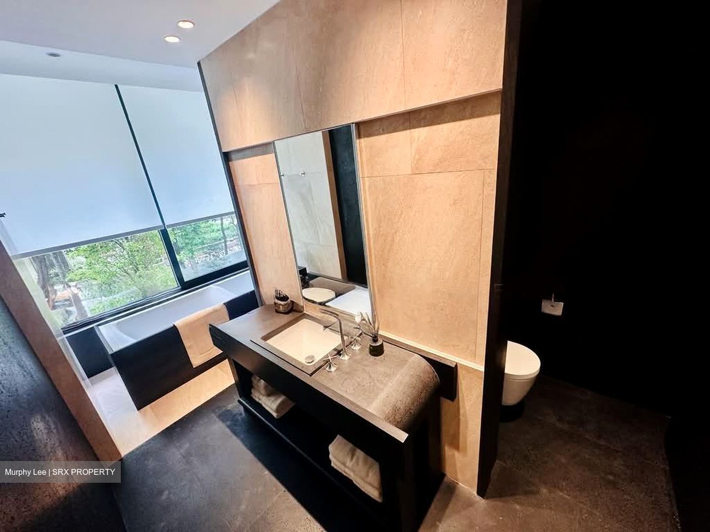 21 Anderson (D10), Condominium #569172121